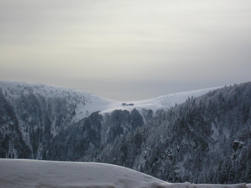Les Bouquetins Vila Stosswihr Quarto foto