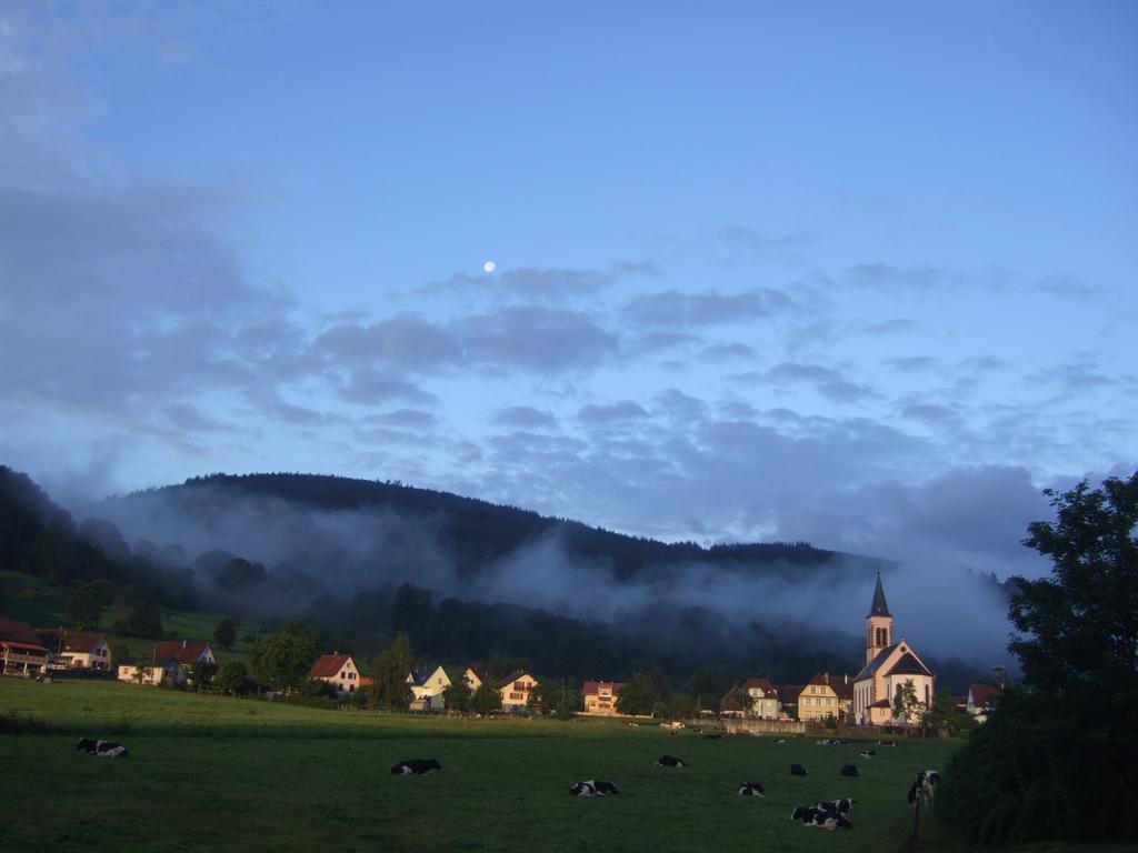 Les Bouquetins Vila Stosswihr Quarto foto